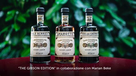 casonic|CASONI SPIRITS AND LIQUEURS.